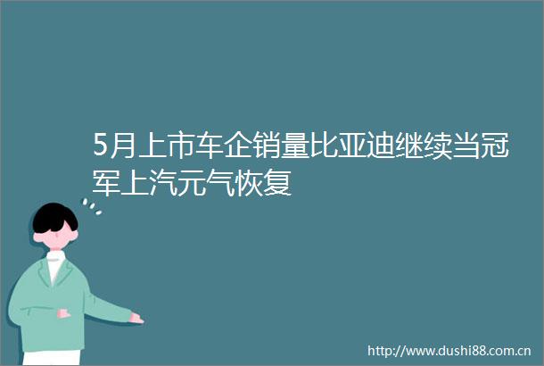 5月上市车企销量比亚迪继续当冠军上汽元气恢复