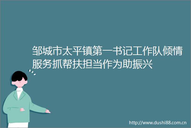 邹城市太平镇第一书记工作队倾情服务抓帮扶担当作为助振兴
