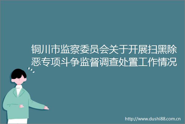 铜川市监察委员会关于开展扫黑除恶专项斗争监督调查处置工作情况的报告
