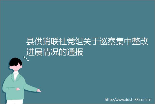县供销联社党组关于巡察集中整改进展情况的通报
