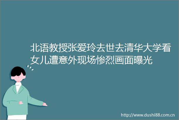 北语教授张爱玲去世去清华大学看女儿遭意外现场惨烈画面