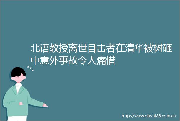 北语教授离世目击者在清华被树砸中意外事故令人痛惜