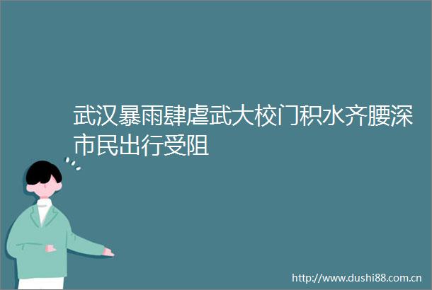 武汉暴雨肆虐武大校门积水齐腰深市民出行受阻