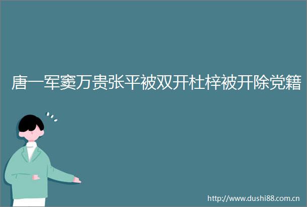 唐一军窦万贵张平被双开杜梓被开除党籍