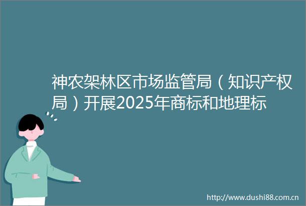 神农架林区市场监管局（知识产权局）开展2025年商标和地理标志半年工作总结