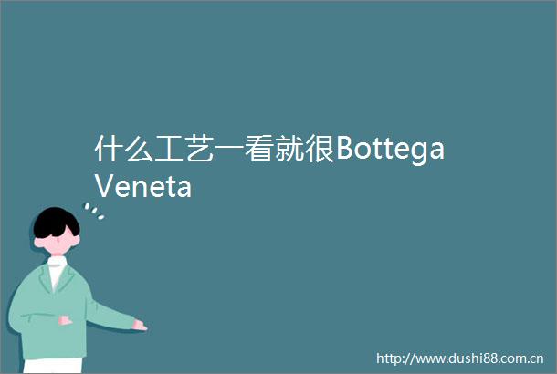 什么工艺一看就很BottegaVeneta