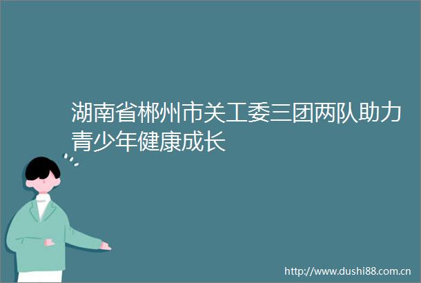 湖南省郴州市关工委三团两队助力青少年健康成长