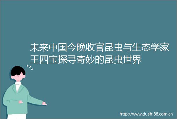 未来今晚收官昆虫与生态学家王四宝探寻奇妙的昆虫世界