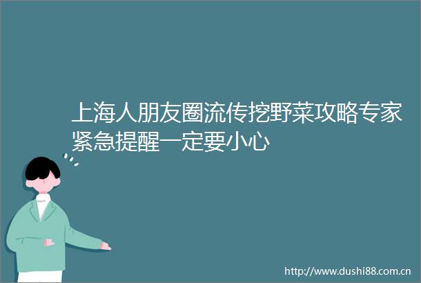 上海人朋友圈流传挖野菜攻略专家紧急提醒一定要小心