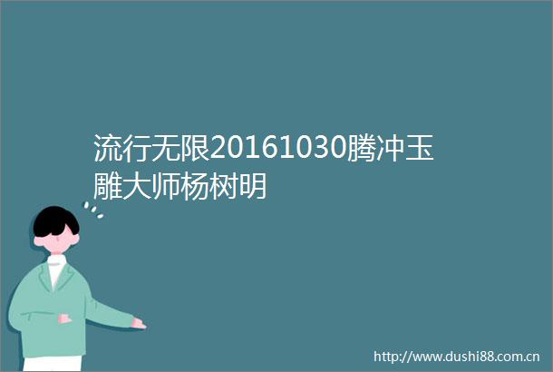 流行无限20161030腾冲玉雕大师杨树明