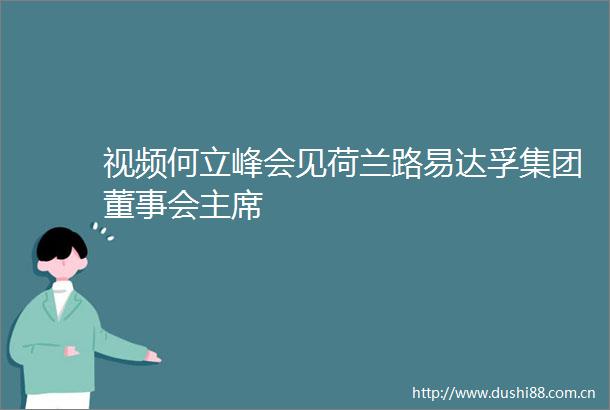 视频何立峰会见荷兰路易达孚集团董事会