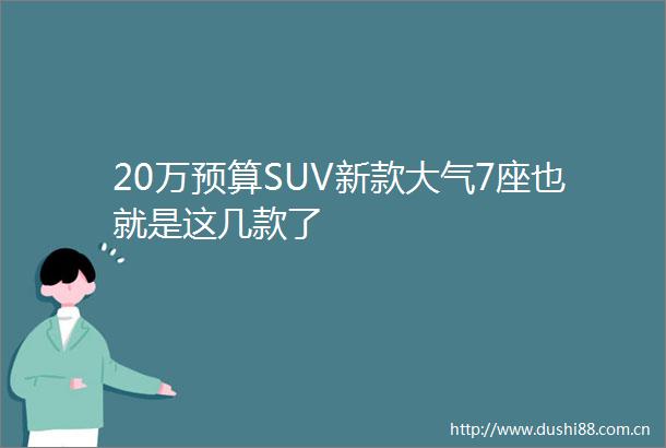 20万预算SUV新款大气7座也就是这几款了