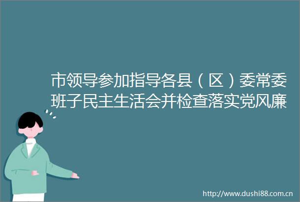 市参加指导各县（区）委常委班子民主生活会并检查落实党风廉政建设两个责任工作