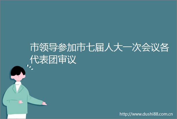 市参加市七届人大一次会议各代表团审议