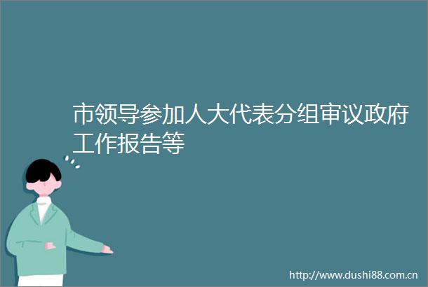 市参加人大代表分组审议工作报告等