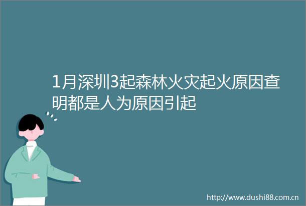 1月深圳3起森林火灾起火原因查明都是人为原因引起