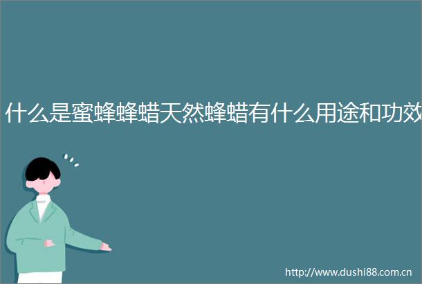 什么是蜜蜂蜂蜡天然蜂蜡有什么用途和功效