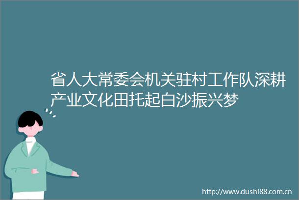 省人大常委会机关驻村工作队深耕产业文化田托起白沙振兴梦