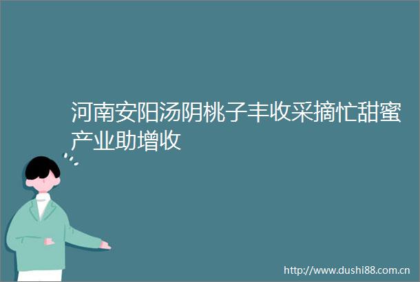 河南安阳汤阴桃子丰收采摘忙甜蜜产业助增收