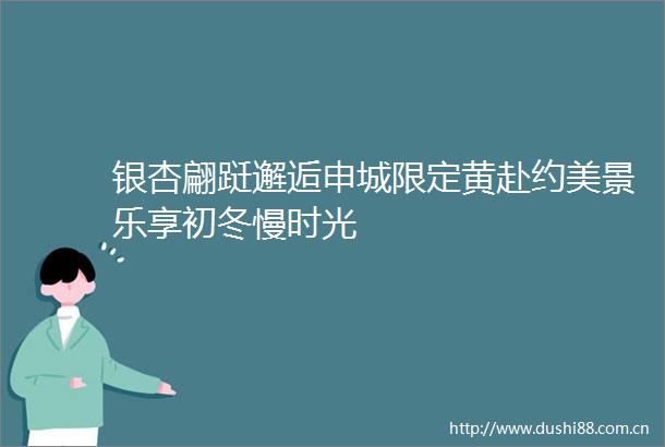 银杏翩跹邂逅申城限定黄赴约美景乐享初冬慢时光