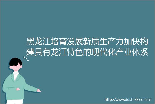 黑龙江培育发展新质生产力加快构建具有龙江特色的现代化产业体系