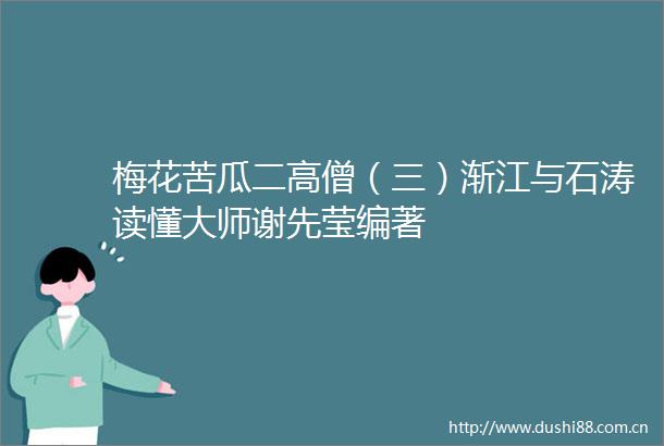 梅花苦瓜二高僧（三）渐江与石涛读懂大师谢先莹编著