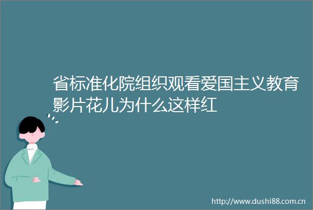 省标准化院组织观看爱国主义教育影片花儿为什么这样红