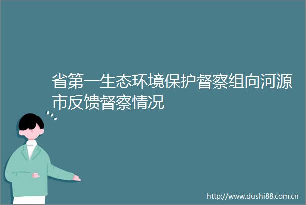 省第一生态环境保护督察组向河源市反馈督察情况