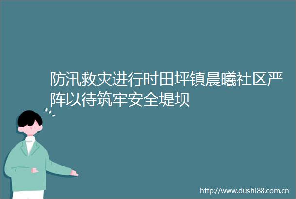 防汛救灾进行时田坪镇晨曦社区严阵以待筑牢安全堤坝