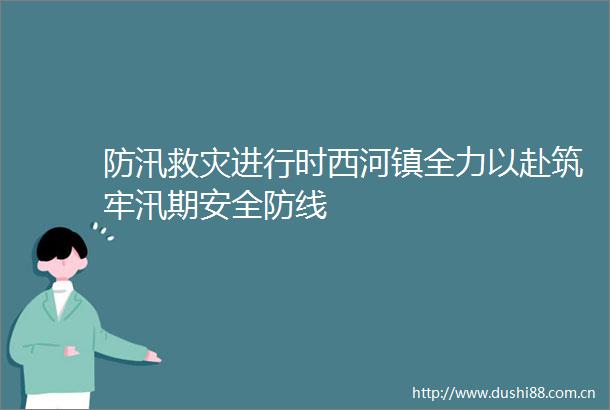 防汛救灾进行时西河镇全力以赴筑牢汛期安全防线