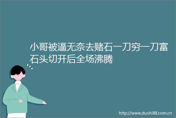 小哥被逼无奈去赌石一刀穷一刀富石头切开后全场沸腾