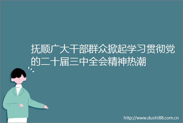 抚顺广大群众掀起学习贯彻党的二十届三中全会精神热潮