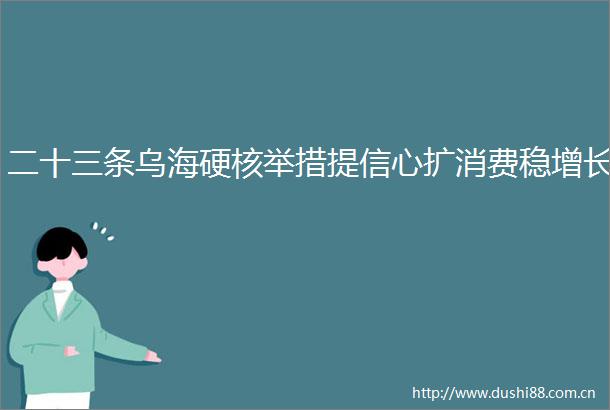 二十三条乌海硬核举措提信心扩消费稳增长