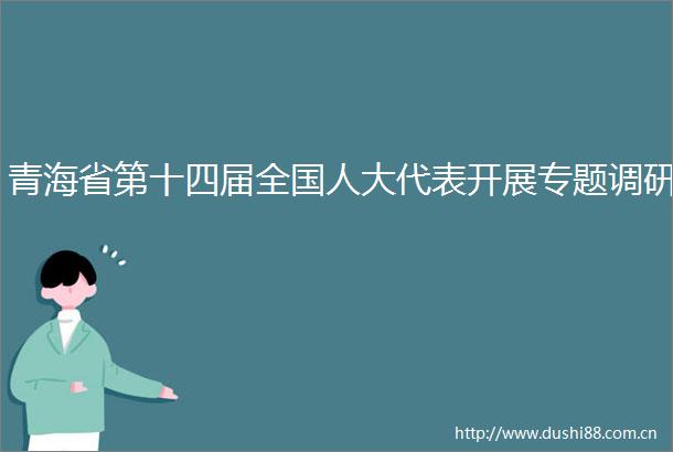 青海省第十四届全国人大代表开展专题调研