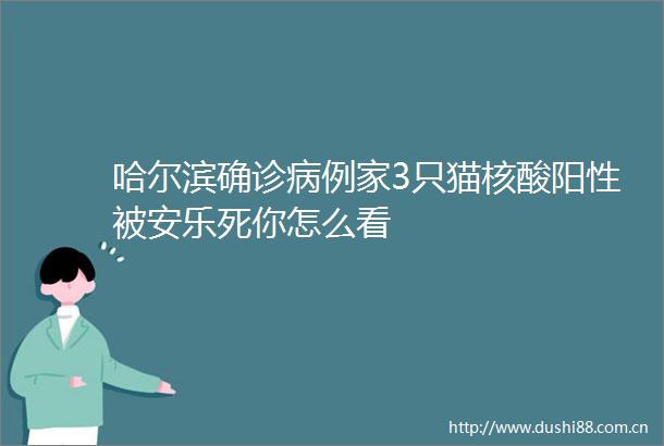 哈尔滨确诊病例家3只猫核酸阳性被安乐死你怎么看