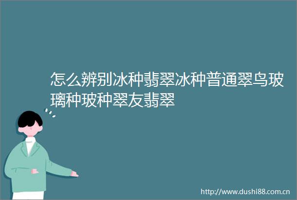 怎么辨别冰种翡翠冰种普通翠鸟玻璃种玻种翠友翡翠