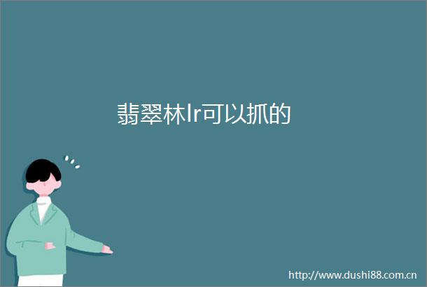 翡翠林lr可以抓的