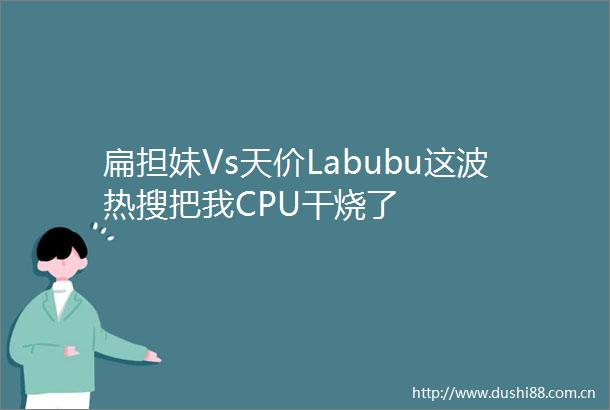 扁担妹Vs天价Labubu这波热搜把我CPU干烧了