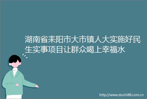 湖南省耒阳市大市镇人大实施好民生实事项目让群众喝上幸福水