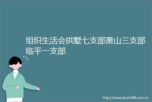 组织生活会拱墅七支部萧山三支部临平一支部