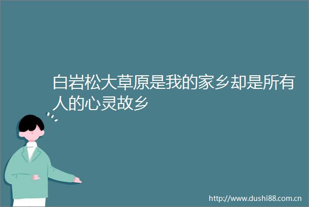 白岩松大草原是我的家乡却是所有人的心灵故乡