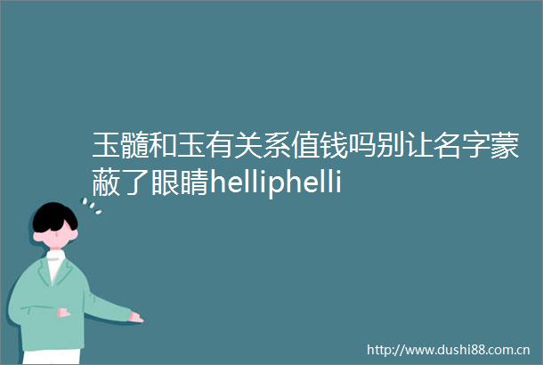 玉髓和玉有关系值钱吗别让名字蒙蔽了眼睛helliphellip
