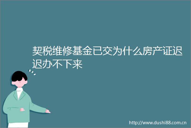 契税维修基金已交为什么房产证迟迟办不下来
