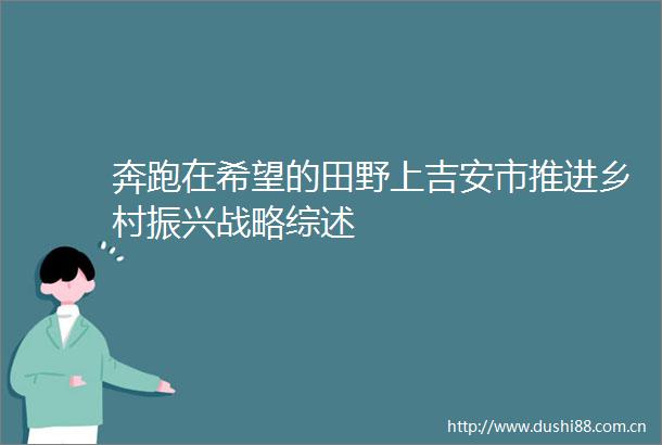 奔跑在希望的田野上吉安市推进乡村振兴战略综述