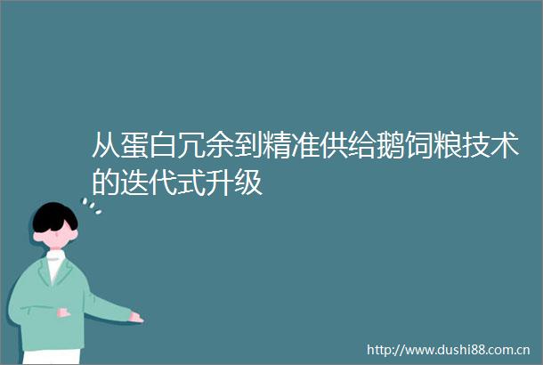 从蛋白冗余到精准供给鹅饲粮技术的迭代式升级