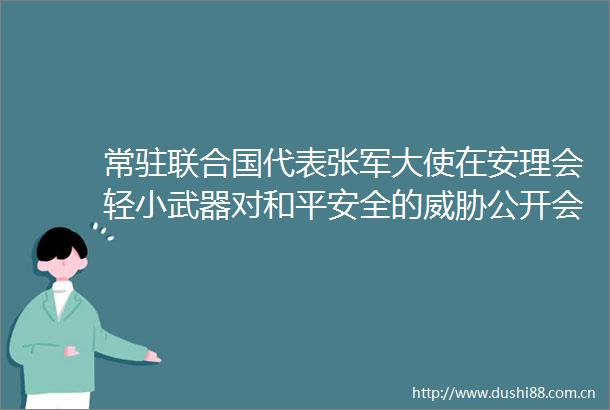 常驻联合国代表张军大使在安理会轻小武器对和平安全的威胁公开会的发言