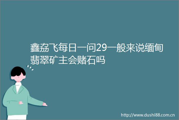 鑫劦飞每日一问29一般来说缅甸翡翠矿主会赌石吗