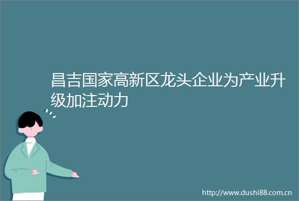 昌吉高新区龙头企业为产业升级加注动力