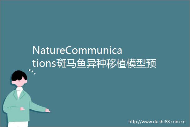NatureCommunications斑马鱼异种移植模型预测结直肠癌患者对化疗的临床反应