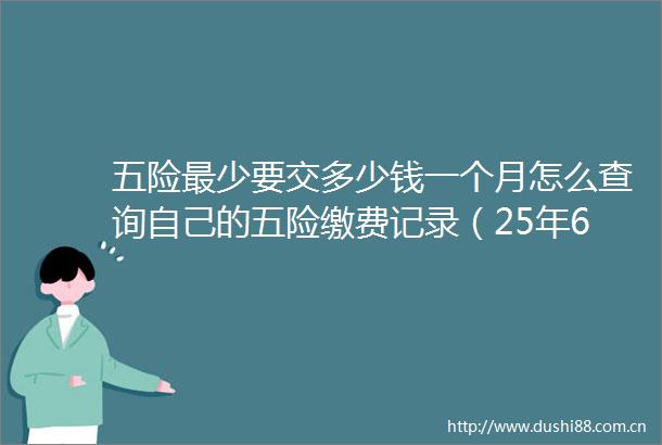 五险最少要交多少钱一个月怎么查询自己的五险缴费记录（25年6月21日）